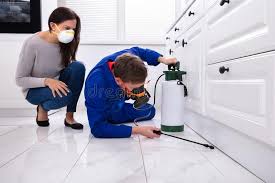 Best Bed Bug Extermination  in Casa Grande, AZ